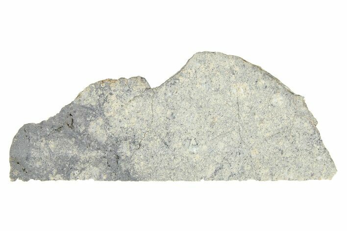 Eucrite Meteorite Slice ( g) - From Vesta Minor-Planet #280634